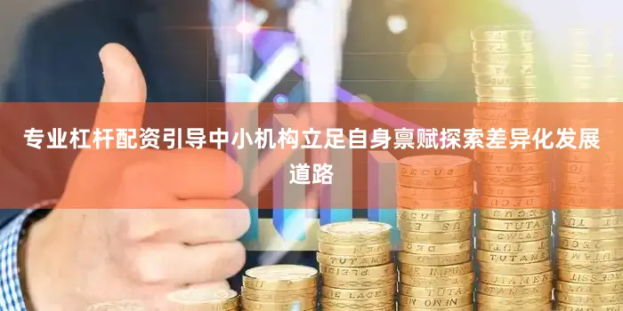 专业杠杆配资引导中小机构立足自身禀赋探索差异化发展道路